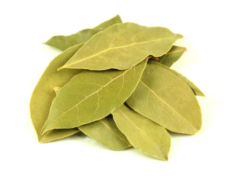 Defne Yaprağı (Bay Leaves)